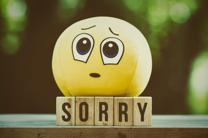 Can You Apologise and Forgive ?